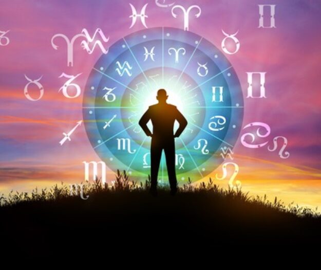 Rajubhai Astrologer